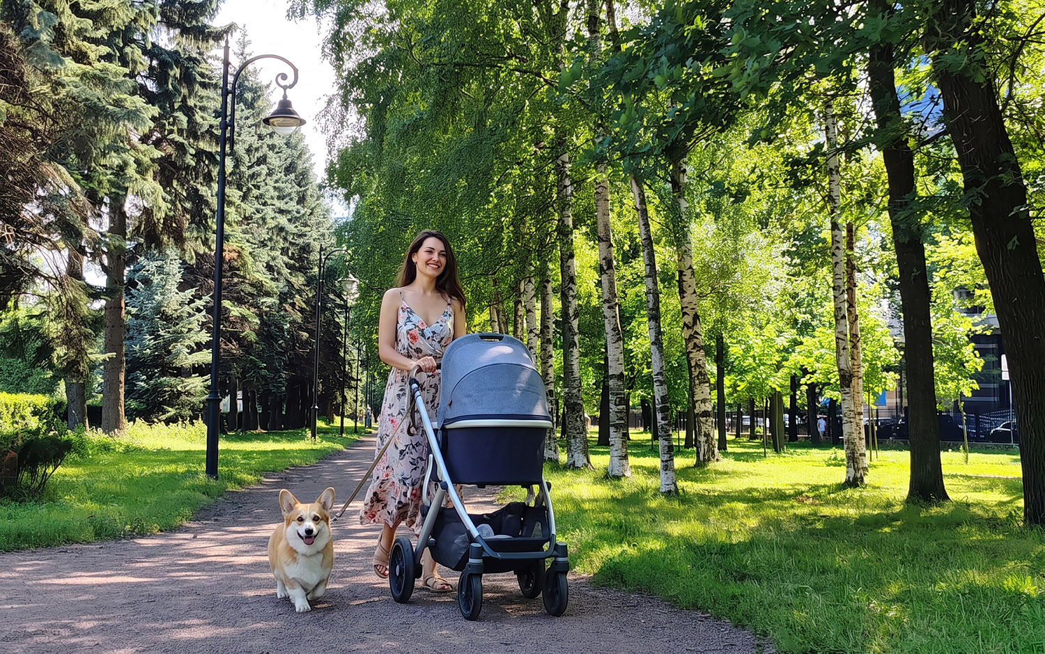 аллея сада рядом с домом летом